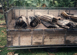 amb_01.gif (17058 bytes)
