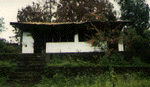 amb_09.gif (12138 bytes)