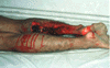 korban-10.gif (5714 bytes)