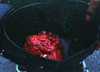 otak-christian(etje)-nanlohy.gif (5660 bytes)