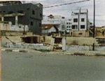 al_hil~1.jpg (15519 bytes)