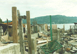 hitu-p~5.jpg (14760 bytes)