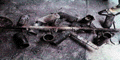 gkk22006.GIF (8225 bytes)