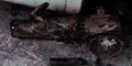 gkk22007.GIF (7063 bytes)