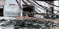 gkk22025.GIF (8860 bytes)