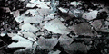 gkk22035.GIF (8332 bytes)