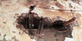 gkk22046.GIF (8468 bytes)