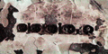 gkk22047.GIF (8733 bytes)