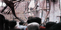 gkk22051.GIF (8351 bytes)